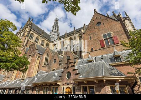 Haarlem, Niederlande – 16. August 2026: Beeindruckende Blickwinkelaufnahme des Turms der De Grote of Sint-Bavokerk-Kathedrale und der historischen Ziegelfassade unter blauem Himmel Stockfoto