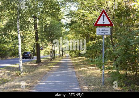 Verkehrsschilder Achtung aufgrund von Schädlingen und Allergien auf einem Fußweg durch den Wald, Elsterwerda, Brandenburg, Deutschland Stockfoto