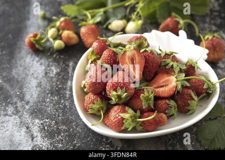 Frische Sommer-Erdbeeren in einer weißen Schüssel auf dunkler rustikaler Oberfläche Stockfoto