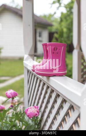 Hellrosa Gummiregenstiefel, die auf einem weißen Holzgartenzaun nahe blühenden Pfingstrosen mit einem Landhaus im Hintergrund platziert sind, Outdoor-Lifestyle-Szene Stockfoto