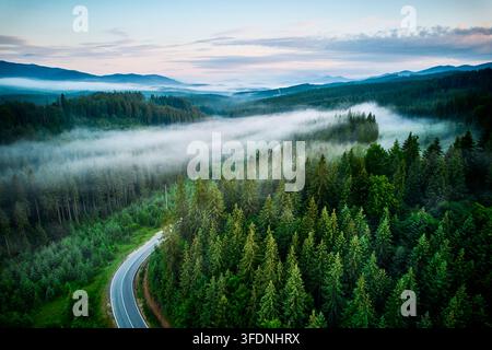 Luftaufnahme einer sich schlängelnden Straße, die sich durch einen dichten, nebelbedeckten Wald im frühen Morgenlicht windet. Üppige grüne Bäume mit Nebelschichten, die eine traumhafte Atmosphäre schaffen Stockfoto