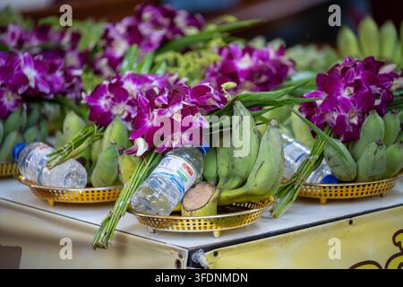 BANGKOK, THAILAND – 2. FEBRUAR 2026: Bananen, violette Orchideen und Wasserflaschen sind als Opfergaben an einem Schrein in Chinatown angeordnet. Stockfoto