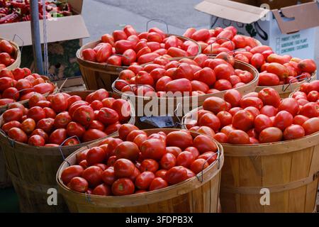 Tomaten in Holzkörben auf einem Markt in Montreal, Montreal, CA Stockfoto