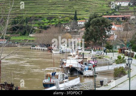 Uferlandschaft mit festgemachten Booten, einem kleinen Yachthafen und terrassierten Weinbergen, die sich hinter einem malerischen portugiesischen Dorf entlang des Douro-Flusses erheben, das ländliches Flair vermittelt Stockfoto