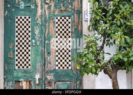 Verwitterte grüne Holztür mit kunstvollem weißem Metallgitter neben einem kleinen belaubten Baum an einer sonnendurchfluteten mediterranen Straße in Portugal, die Rost evoziert Stockfoto