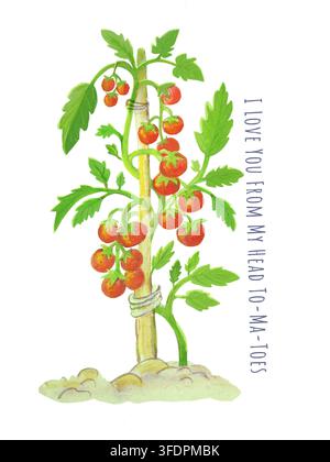 Aquarellillustration einer reifen Kirschtomatenpflanze. Handgezeichnete grüne Gartenranke mit handgeschriebener Wortspielphrase. Kunstdruck für den organischen Landbau Stockfoto
