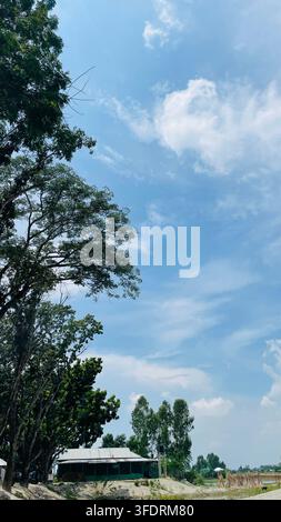 Vertikale Aufnahme von hohen, üppigen grünen Bäumen, die einen hellblauen Himmel mit vereinzelten weißen Wolken an einem sonnigen Tag einrahmen. Stockfoto