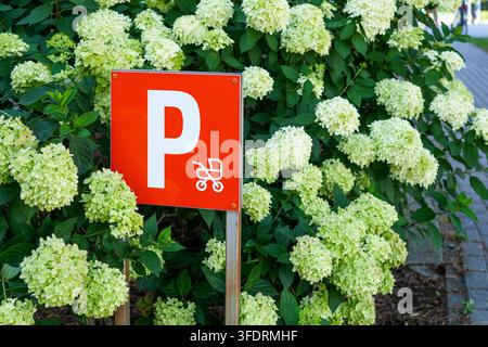 Gehwagen-Parkplatz-Schild umgeben von blühenden weißen Hortensien in einer gestalteten städtischen Grünfläche Stockfoto