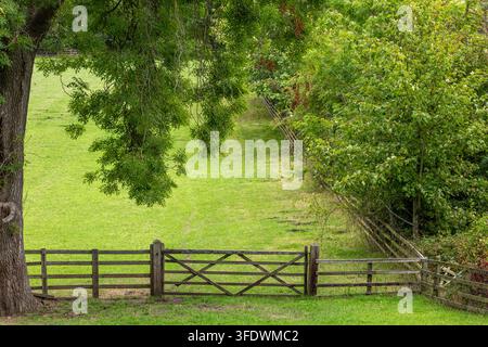 Rustikale Landschafter in Nordengland Stockfoto