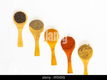 Fünf Holzlöffel mit Senfkörnern, Pfeffer, Kurkuma, Chili und Korianderpulver auf weißem Hintergrund Stockfoto