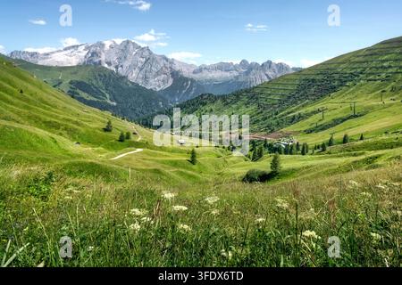 Alpenblick auf den Marmolada-Gletscher und felsige Gipfel von grünen Alpenwiesen am Sellapass. Dolomiten, Trentino-Südtirol, Italien Stockfoto