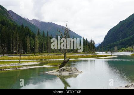 Ruhiger Bergsee, der grüne bewaldete Gipfel in der Nähe des Siguniang-Berges in Sichuan, China, widerspiegelt Stockfoto