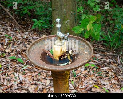 Trinkwasserhahn im Hosoe-Park in Kiga, Hamana-Ward, Hamamatsu, Shizuoka, Japan, 2. September 2026 Stockfoto