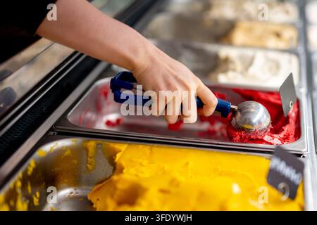 Person schöpft hellrote Eiscreme aus Metallbehälter mit blauem Löffel. Gelbe Geschmacksrichtung steht daneben. Stockfoto