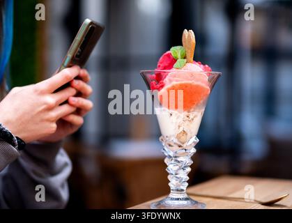 Hände fokussieren Mobiltelefon auf farbenfrohes Eisparfait, Minzblatt und Waffelgarnitur. Stockfoto
