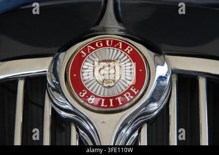 Nahaufnahme eines klassischen roten und verchromten Jaguar 3,8-Liter-Growler-Kühlergrillabzeichens an einem klassischen britischen Limousinen- oder Sportwagen. Stockfoto