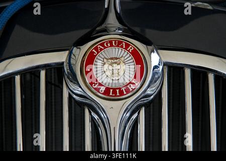 Nahaufnahme eines klassischen roten und verchromten Jaguar 3,8-Liter-Growler-Kühlergrillabzeichens an einem klassischen britischen Limousinen- oder Sportwagen. Stockfoto