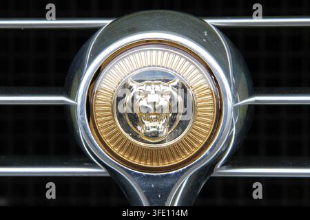 Nahaufnahme des Vintage-Gold- und Chrom-Growler-Kühlergrill-Emblems an einem klassischen britischen Jaguar E-Type Serie 3 V12 Luxus-Sportwagen. Stockfoto