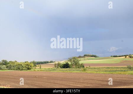 Stimmung nach dem Regen in der Eifel Stockfoto
