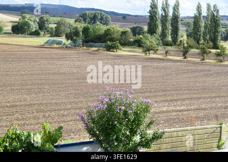 Stimmung nach dem Regen in der Eifel Stockfoto