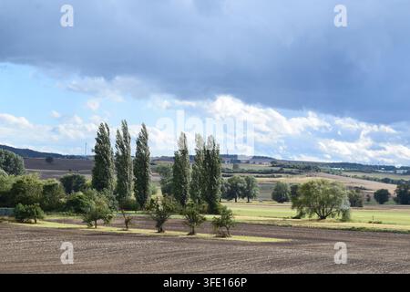 Stimmung nach dem Regen in der Eifel Stockfoto
