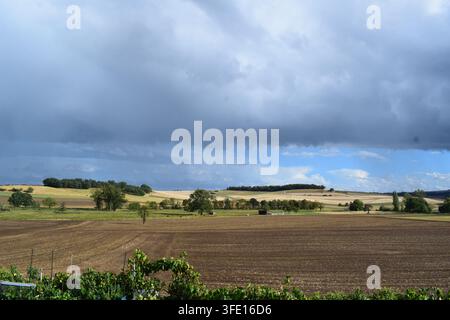 Stimmung nach dem Regen in der Eifel Stockfoto
