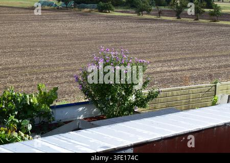 Stimmung nach dem Regen in der Eifel Stockfoto
