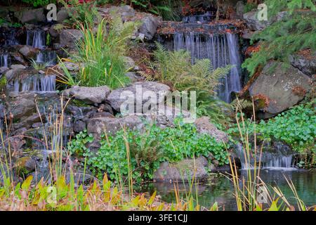 Wasser fließt über Felsen in einem kleinen Wasserfall in den Gärten von Oregon. Stockfoto