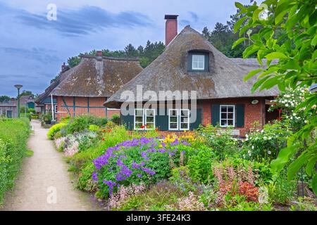 Traditionelle Häuser mit Strohdächern und Gärten mit bunten Blumen im Fischerdorf Gothmund im Sommer, Schleswig-Holstein, Deutschland Stockfoto