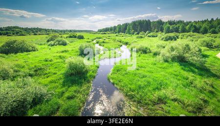 Winding Bach fließt durch eine lebendige grüne Wiese. Der Himmel zeigt weiche Wolken und sanftes Blau Stockfoto