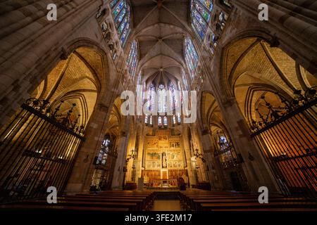 Dramatischer Weitwinkelblick auf das gotische Innere der Kathedrale von León in Spanien, mit aufragenden Gewölbedecken, bunten Bleiglasfenstern, aufwendiger Stockfoto