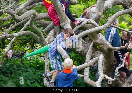 ABENTEUERLICHE KINDER SPIELEN IN EINEM BAUM, REPORTAGE, GREEN MAN FESTIVAL 2017, BRECON, WALES, UK, 2017: Eine Gruppe von Kindern, darunter ein Junge mit einem grünen Dinosaurierschwanz, spielen und erkunden, indem sie auf den dicken, gewundenen Ästen eines Baumes klettern. Foto: Rob Watkins. INFO: Das Green Man Festival begann 2003 in Wales. Jährlich findet es am dritten Wochenende im August in den Brecon Beacons statt und feiert alternative Musik, Kunst, Literatur, Wissenschaft und familienfreundliche Kultur in einer wunderschönen Berglandschaft. Stockfoto