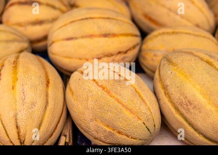 Frische reife gelbe Cantaloupemelonen in der Nahaufnahme Stockfoto