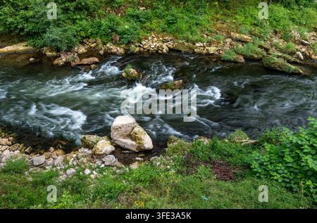 Schnell fließender Fluss über Felsen in grüner Natur Stockfoto