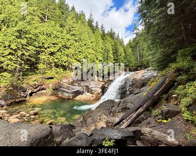 Ein kleiner Wasserfall stürzt über Felsen in ein klares smaragdgrünes Becken, umgeben von dichtem immergrünem Wald unter einem blauen Himmel Stockfoto