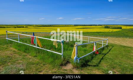 Fundort der von den Wikingerribsteingemeißelten Felszeichnungen auf den kanadischen Prärie bei Viking, Alberta Stockfoto