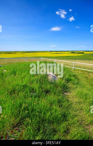 Fundort der von den Wikingerribsteingemeißelten Felszeichnungen auf den kanadischen Prärie bei Viking, Alberta Stockfoto