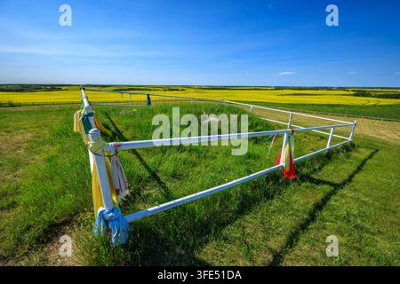 Fundort der von den Wikingerribsteingemeißelten Felszeichnungen auf den kanadischen Prärie bei Viking, Alberta Stockfoto
