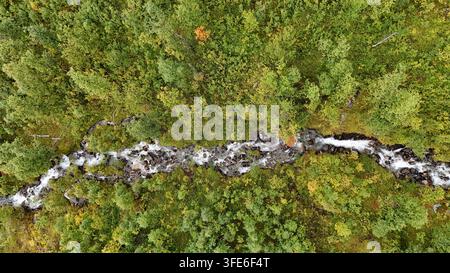 Luftaufnahme eines Baches, der durch einen dichten grünen Wald in Tromsø, Troms, Norwegen fließt. Stockfoto