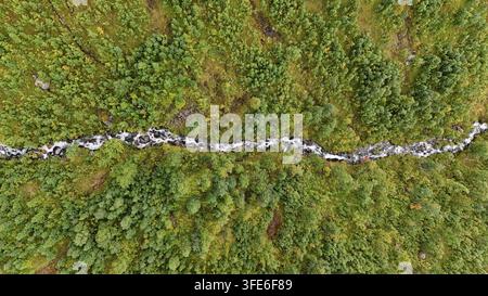 Luftaufnahme eines sich windenden Baches, der durch einen dichten grünen Wald in der Wildnis von Tromso, Troms, Norwegen fließt. Stockfoto
