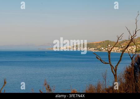 Ein weiter Blick auf die kroatische Adria-Küste zeigt eine entfernte Küstenstadt, ruhiges blaues Wasser und trockene Äste im Vordergrund. Stockfoto