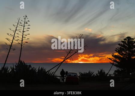 Ansicht eines Silhouettenpaares, das neben einem Auto am Meer steht und während eines lebhaften Sonnenuntergangs mit Agavenpflanzen im Vordergrund in Adelaide, Südaus sieht Stockfoto