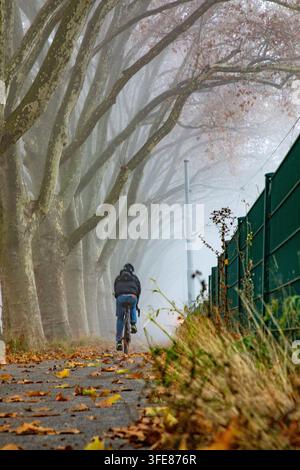Blick auf einen Radfahrer, der einen Pfad entlangfährt, der mit hohen Bäumen gesäumt ist, in einer nebligen Herbstkulisse mit gefallenen Blättern auf dem Boden in Mannheim, Baden-Württemberg Stockfoto