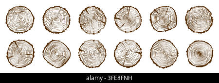 Holzstamm mit Baumring-Schnittlinie als Texturmuster Doodle jährliche Illustration von handgezeichneten Holzscheiben mit organischen Wachstumskreisen und natürlicher Rinde Stock Vektor