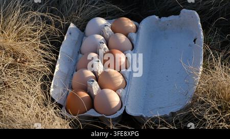 Nahaufnahme von frischen Bio-Eiern, die in einem rustikalen Karton auf trockenem Gras im warmen Licht der Goldenen Stunde angeordnet sind. Stockfoto