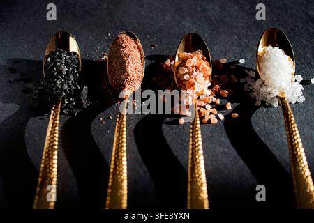Vier goldene Löffel zeigen verschiedene Salze, darunter schwarzes, rosa und weißes Salz, auf einer dunklen Oberfläche und präsentieren Texturen und Farben mit Schatten Stockfoto