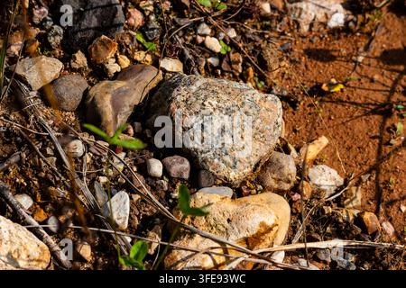Nahaufnahme von strukturiertem Granitfelsen, umgeben von kleinen Kieselsteinen, sandigem Boden und verstreuter getrockneter Grasnarbe in einer wilden natürlichen Umgebung bei starker Sonne Stockfoto