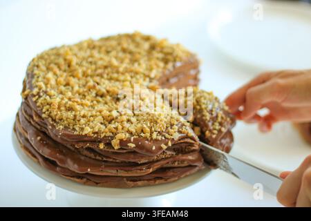 Hausgemachter Schokoladenkuchen mit Nüssen auf einem Teller im Nahaufnahme Stockfoto