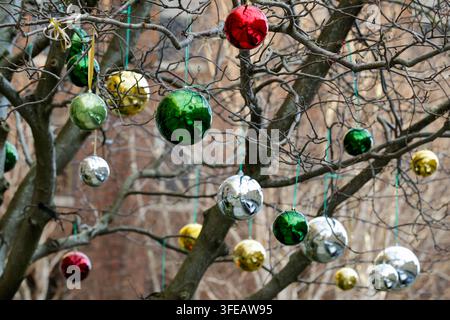 Bunte Kugeln, die an den Ästen von Bäumen entlang der Straße in der Stadt Dublin hängen. Außendekorationen oder Ornamente für die Weihnachtsfeiertage. Irland Stockfoto