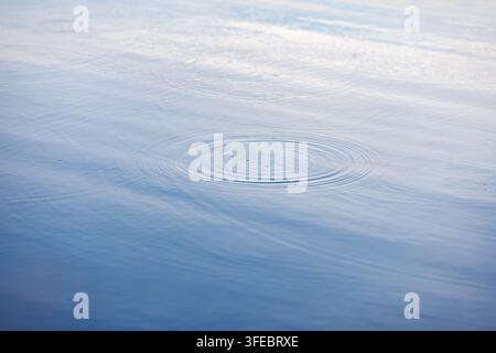Konzentrische Kreise von Wasserwellen breiten sich über die ruhige blaue Oberfläche eines Sees oder Flusses aus und schaffen einen friedlichen und abstrakten natürlichen Texturrücken Stockfoto